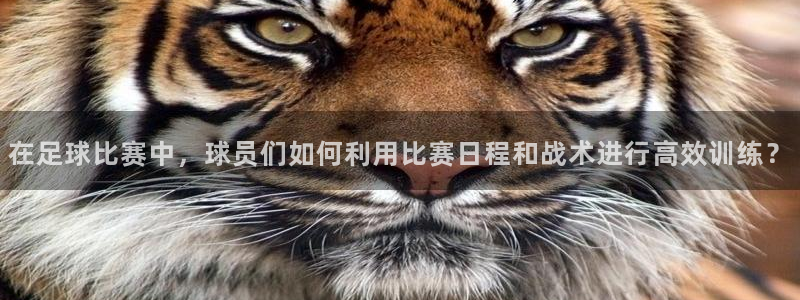 意昂52体育登录入口：在足球比赛中，球员们如何利用比赛日程和战术进行高效训练？
