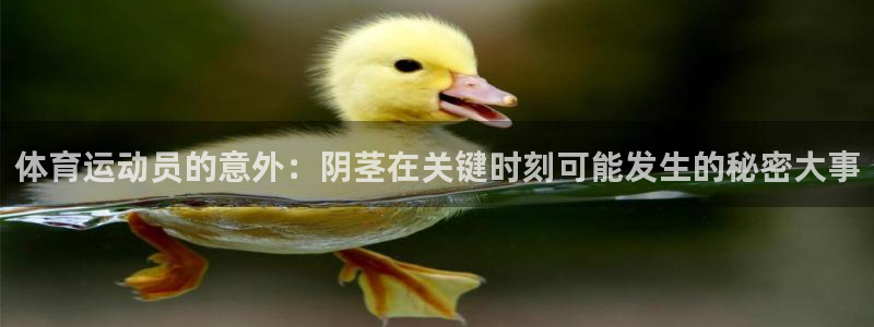 意昂5体育3