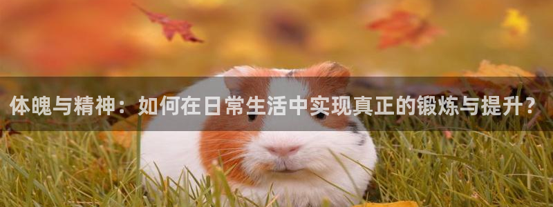 意昂5f平台注册：体魄与精神：如何在日常生活中实现真正的锻炼与提升？