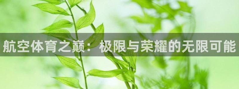 意昂53官网登录：航空体育之巅：极限与荣耀的无限可能