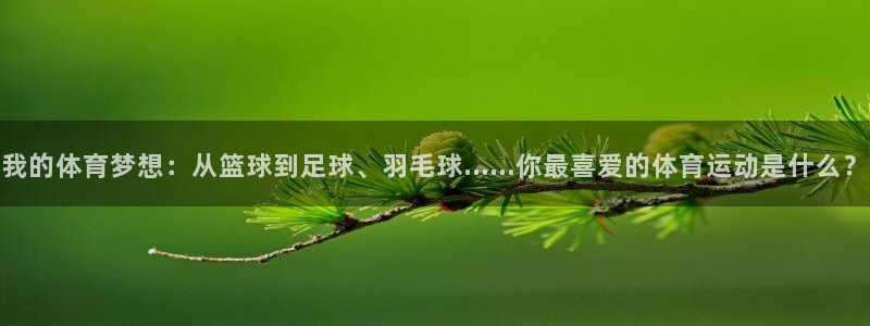 意昂5体育代理：我的体育梦想：从篮球到足球、羽毛球……你最喜爱的体育运动是什么？