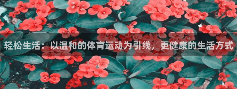 意昂53注册：轻松生活：以温和的体育运动为引线，更健康的生活方式