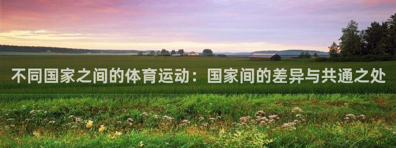 意昂54登录：不同国家之间的体育运动：国家间的差异与共通之处