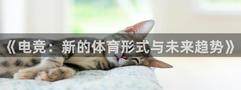 意昂53平台注册：《电竞：新的体育形式与未来趋势》