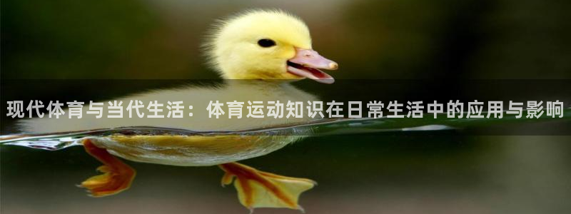 意昂5登录：现代体育与当代生活：体育运动知识在日常生活中的应用与影响