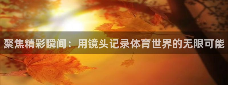 意昂5体育免费注册入口：聚焦精彩瞬间：用镜头记录体育世界的无限可能