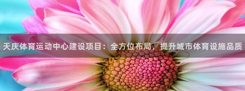 意昂5主管：天庆体育运动中心建设项目：全方位布局，提升城市体育设施品质