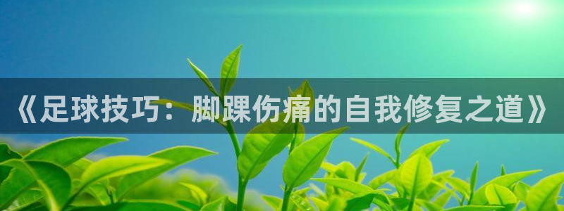 意昂5体育游戏：《足球技巧：脚踝伤痛的自我修复之道》