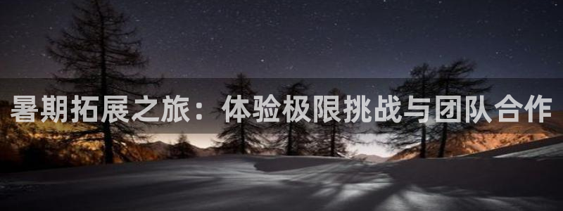 意昂5体育凯捷登陆：暑期拓展之旅：体验极限挑战与团队合作