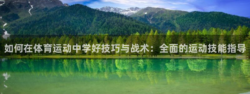 意昂5体育和杏耀是哪个公司的：如何在体育运动中学好技巧与战术：全面的运动技能指导