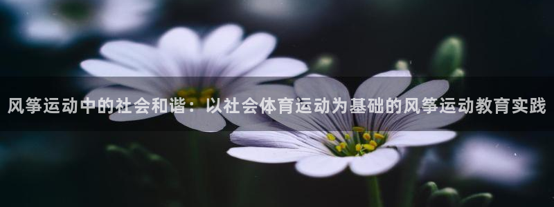 意昂53登录：风筝运动中的社会和谐：以社会体育运动为基础的风筝运动教育实践