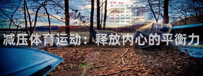 意昂5体育凯捷平台代理：减压体育运动：释放内心的平衡力