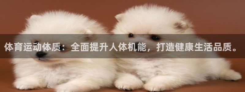 意昂5体育代理：体育运动体质：全面提升人体机能，打造健康生活品质。