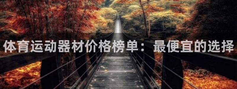 意昂55：体育运动器材价格榜单：最便宜的选择