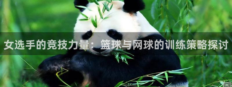 福建意昂5机电股份公司：女选手的竞技力量：篮球与网球的训练策略探讨
