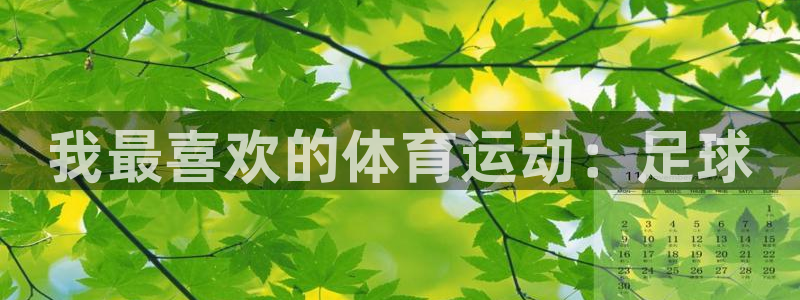 意昂5体育游戏：我最喜欢的体育运动：足球